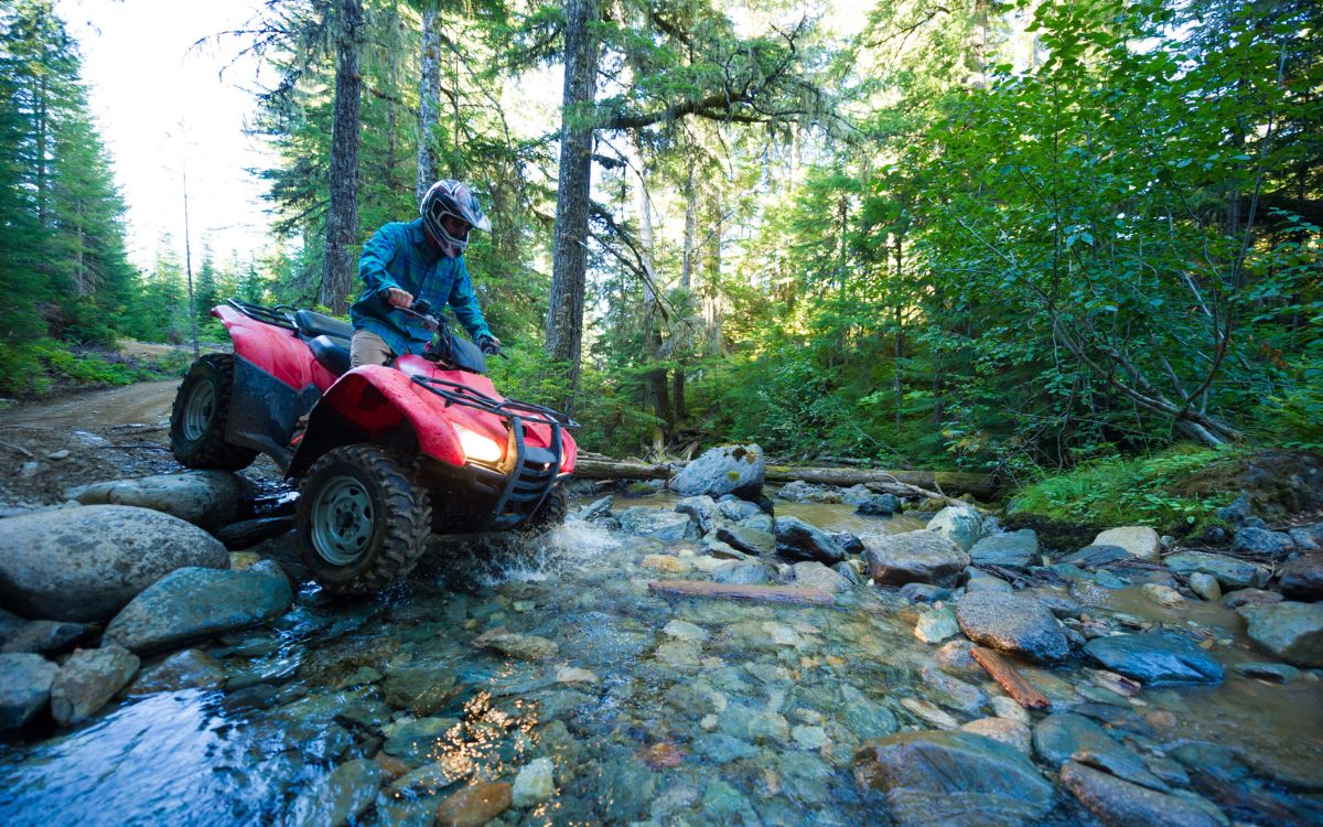 ATV 